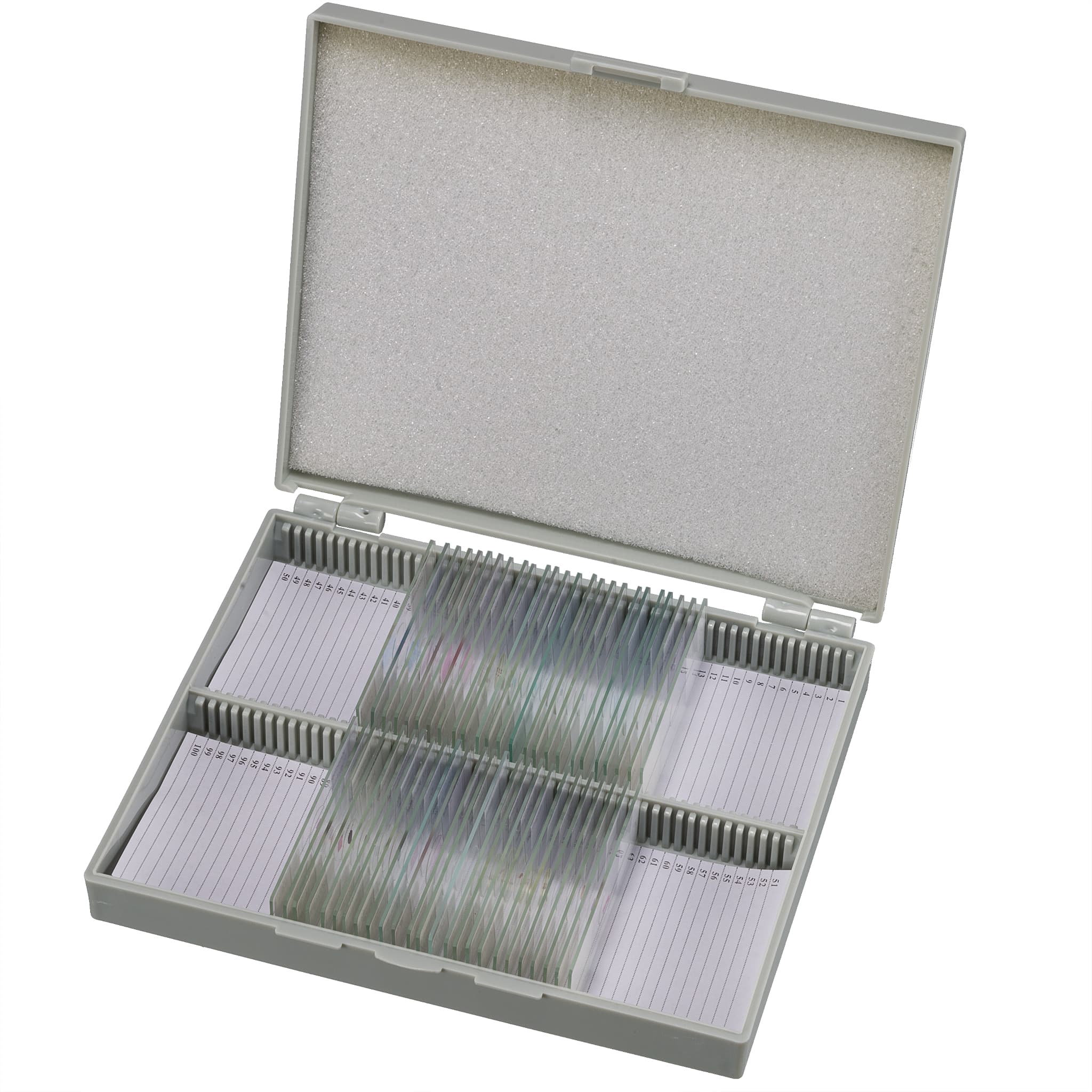 Ferdige Objektglass: Microorganisms og Invertebrates 30 pieces